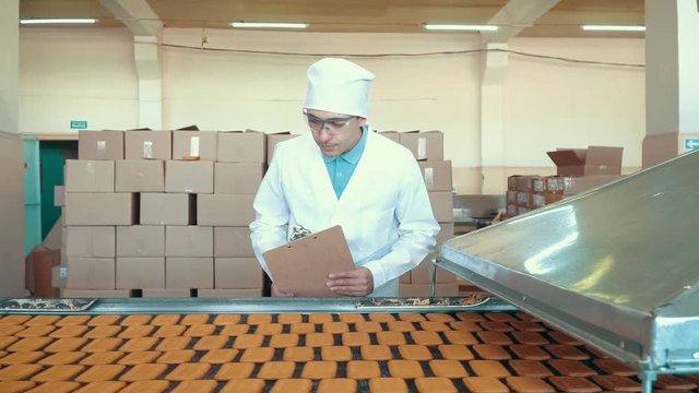 cookie process conveyor factory making worker industrial