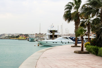 Fototapeta premium Yachts under palm trees in the sea harbor of Hurghada, Egypt. Port with tourist boats on the Red Sea.