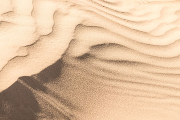 Texture of sand dune in desert close up