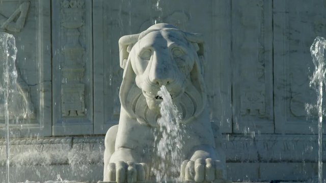 Close Up Lion Fountain Water Fall Slow Motion Center