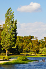 Naklejka premium Paisaje primaveral con un río