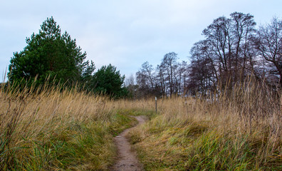 path in the plain