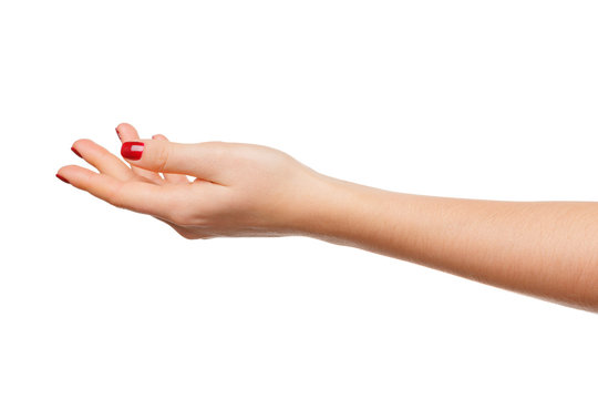hands take gesture of open palm for holding on white backgrounds, isolated