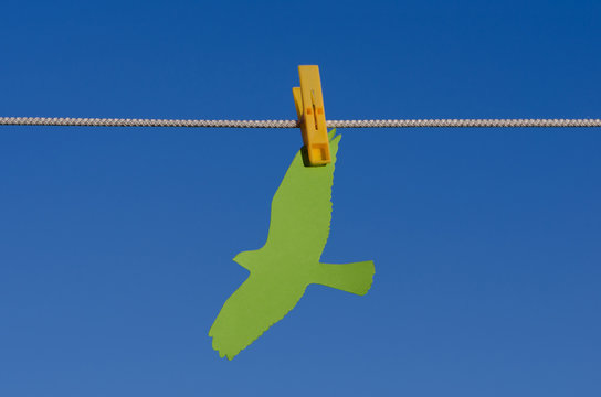 Clothespins, paper bird and sky