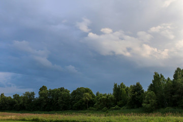 Fototapeta na wymiar Summer landscape with field and blue sky.