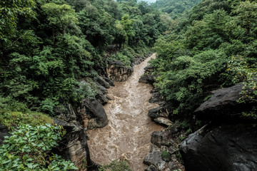 Fototapeta na wymiar turbulent creek in a tall forest washed stone cliff
