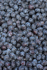 prunes fruit background