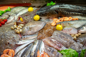 the Fresh seafood photographed in fish market