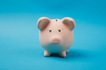 Close up photo of pink piggy money bank isolated on bright blue wall background. Money accumulation, investment, banking or business services, wealth concept. Copy space advertising mock up.