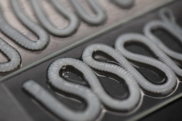 Tapeworm is a freshwater fish parasite under the microscope for education.