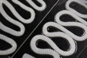 Tapeworm is a freshwater fish parasite under the microscope for education.