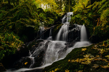 Cascades de la serva