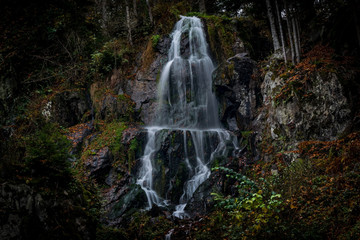 Obraz premium Cascade Du Hohwald