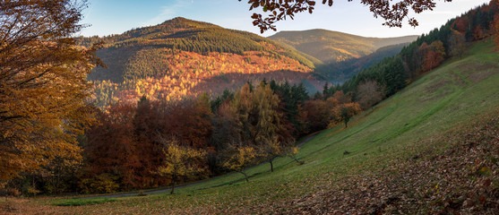 Champs du Sallen, Limbach en automne, Lapoutroie, Alsace, France