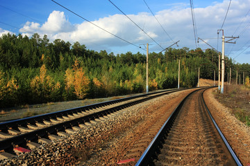 Fototapeta na wymiar Railway among trees