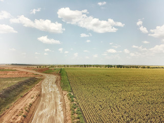 landscape field road
