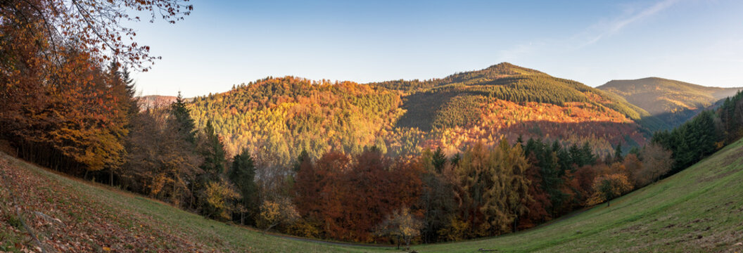 La for&ecirc;t de Kaysersberg depuis les champs du Sallen, Limbach, en automne, Lapoutroie, Alsace, France