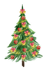 Christmas tree. Watercolor hand drawn