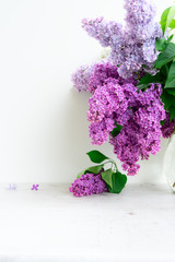 Fresh lilac flowers in glass vase over white background close up