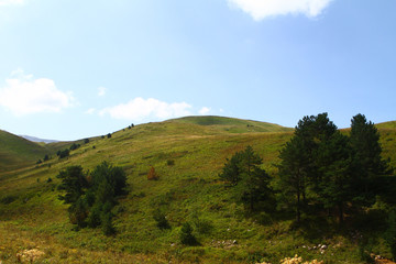 Fototapeta na wymiar mountain cliff with trees on it, natural landscape photo