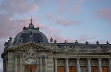 Petit palais Paris