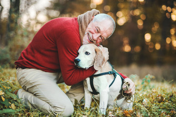 A senior man with a dog in an autumn nature at sunset.