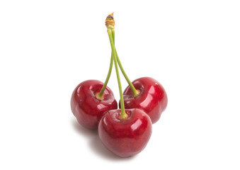 sweet cherries isolated
