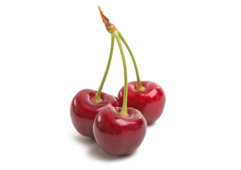 sweet cherries isolated