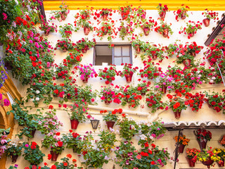 Nice patio full of flowers in Cordoba, Spain
