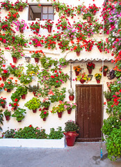 Fototapeta na wymiar Nice patio full of flowers in Cordoba, Spain