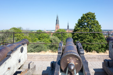 Dom zu Uppsala vom Schloss aus gesehen 