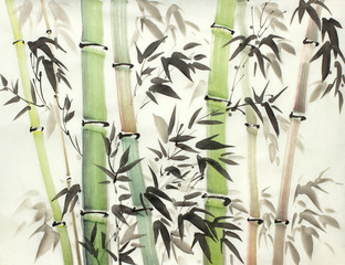 Obrazy na Szkle  jasny las bambusowy
