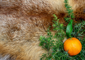 Orange fox fur new year winter holiday christmas