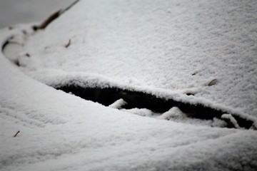 An Image of a winter car