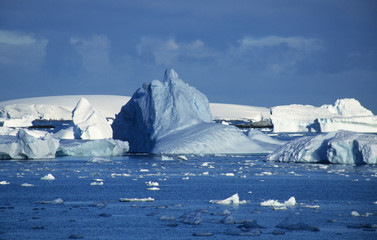 Antarctica. Icebergs in the ocean