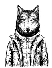 Fototapeta na wymiar Sketch of wolf in winter jacket. Hand drawn vector illustration