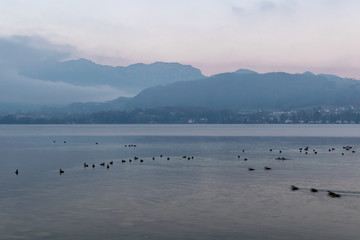 Fototapeta premium Blick auf den Traunsee in Oberösterreich