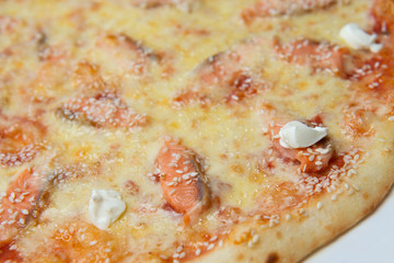 Delicious pizza with salmon, cheese, sesame and creamy cheese. Close up view copy space.