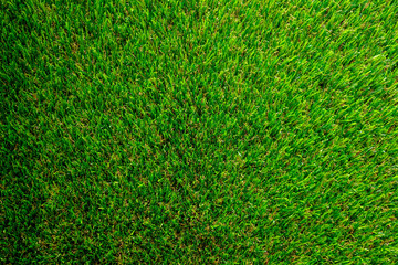 Obraz premium green artificial grass texture pattern