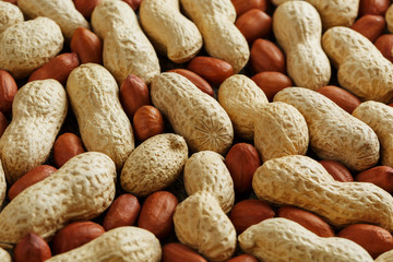 Obraz premium Peanuts in a shell mixed with peeled, the texture of the food background of beans