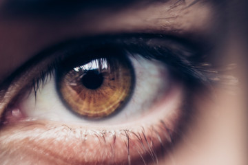 close up of human eye