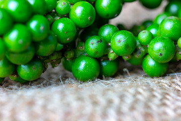 fresh green peppercorn on sack cloth