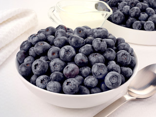 BOWL OF BLUEBERRIES
