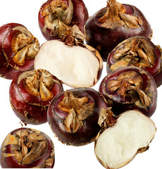 FRESH WATER CHESTNUTS CUT OUT