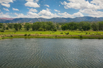 Bryce Canion, Utah, USA