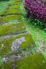 Beautiful foot path in the colorful autumn forest illuminated by morning sun
