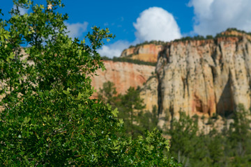 Yosemite National Park