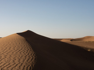 Fototapeta na wymiar Les dunes du Sahara
