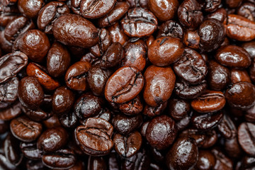 The Coffee Beans