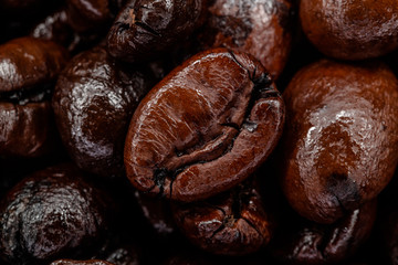 The Coffee Beans